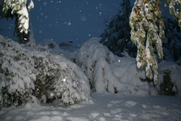 Winter Storm Atlas